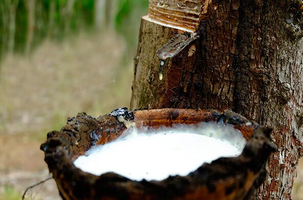 常州大會參會企業踴躍提交論文，爲“質量強國”戰略添磚加瓦！